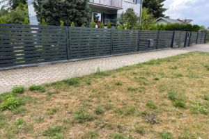 Radkon - Ogrodzenie Palisadowe - Złoczew